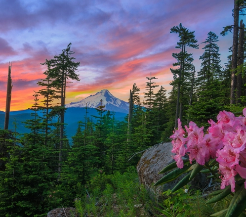 green-tabs-holiday-club